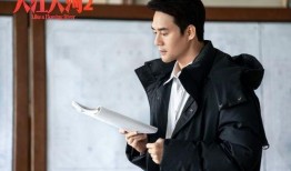 王凯赵丽颖最新爆料,揭秘幕后故事与情感纠葛