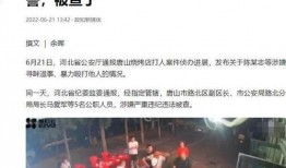 原阳南街爆料案件最新,案情揭秘，警方全力侦破