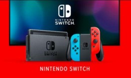 黑客爆料任天堂最新版,黑客揭秘神秘功能与外观