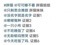 胖猫事件爆料最新消息,揭秘背后惊人真相