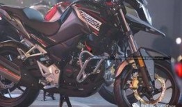 本田新品最新爆料视频,最新爆料视频深度解析