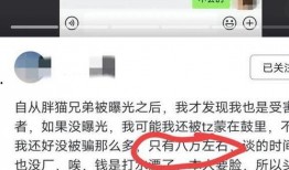 胖猫事件爆料最新消息,揭秘背后惊人真相