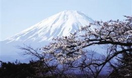 富士山最新爆料新闻,揭秘神秘火山喷发前的征兆与应对措施