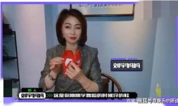 刘宇娱乐爆料视频最新版,揭秘娱乐圈幕后真相