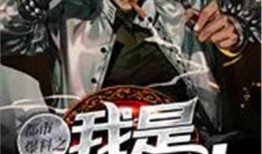 爆料穿越最新枪法小说,揭秘神秘枪法传奇