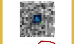 最新微信八卦爆料二维码,二维码背后的惊人真相！”