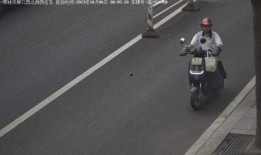 电瓶车事件最新爆料,细节曝光，真相逐渐浮出水面