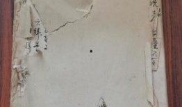 汝州最新爆料怪鱼店,店内实拍揭秘！”