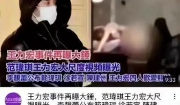 最新爆料范玮琪视频,背后故事引发热议