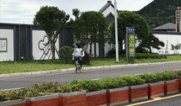 南充爆料论坛最新消息,揭秘本地热点事件背后的真相