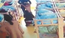 泉州爆料男孩视频大全最新,揭秘网络热点背后的真实故事