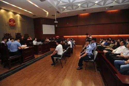 成都武侯爆料案件最新,案情揭秘，警方全力侦破